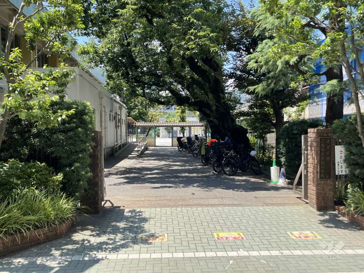 連雀学園南浦小学校の写真