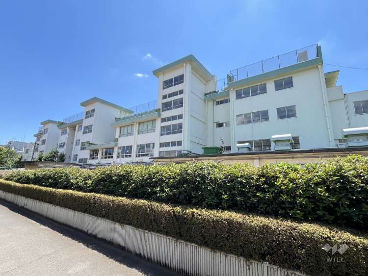 連雀学園南浦小学校の写真