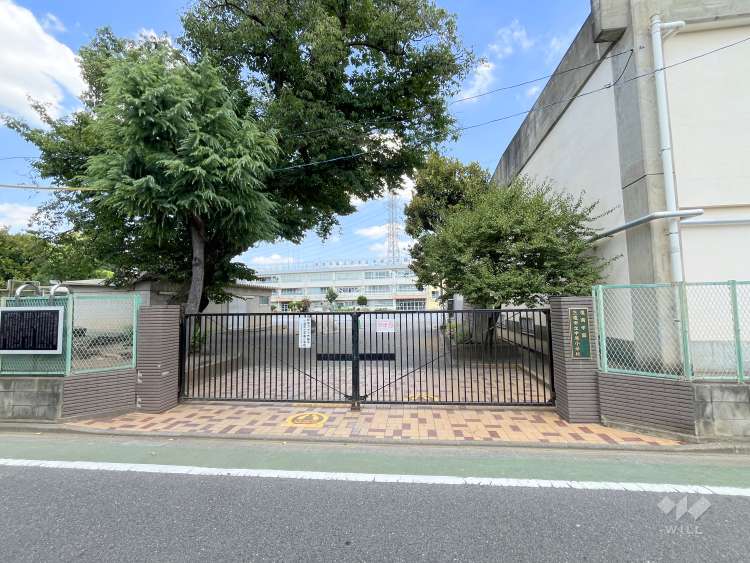 鷹南学園中原小学校の写真