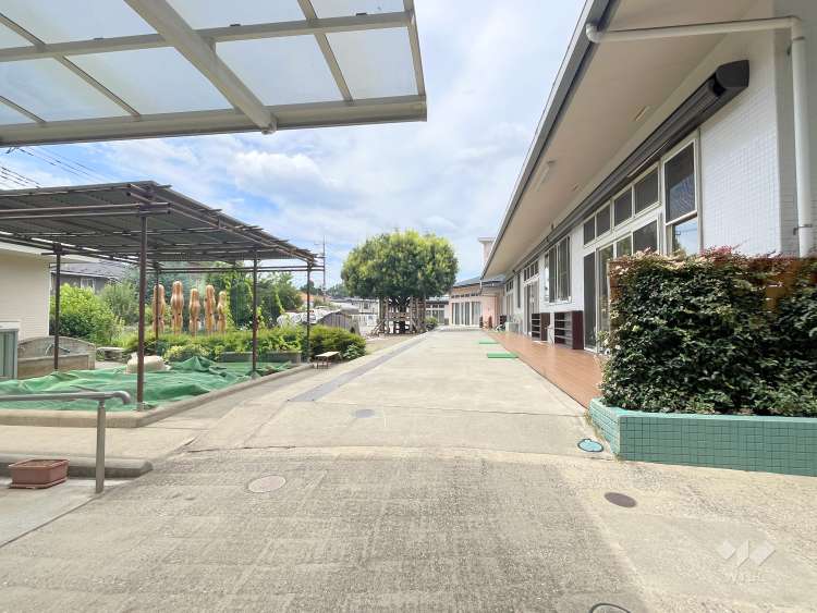 明星台幼稚園の写真