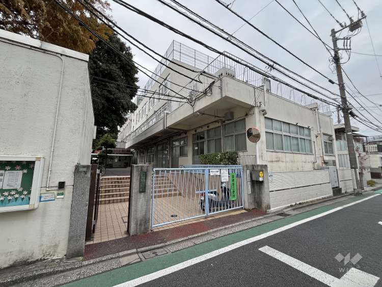 小日向台町小学校の写真