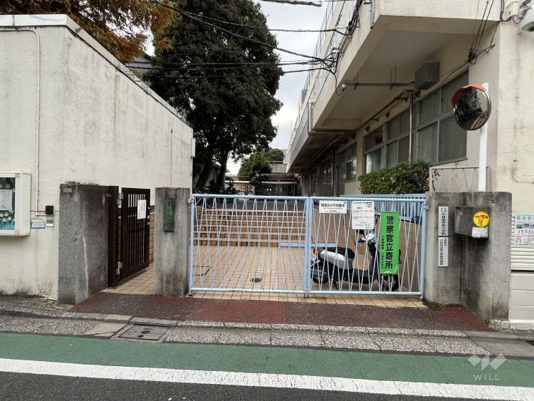 小日向台町小学校の写真