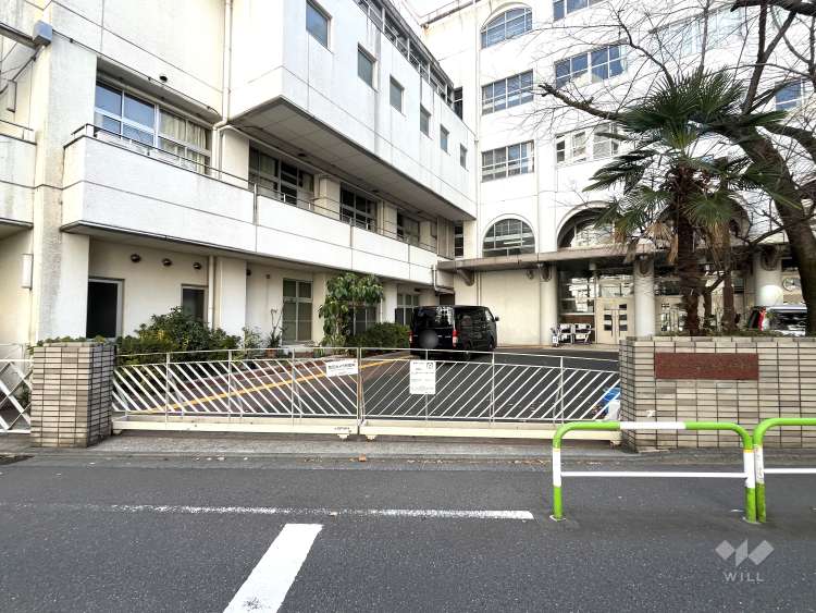 湯島小学校の写真