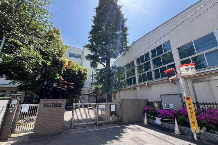 駒本小学校の写真