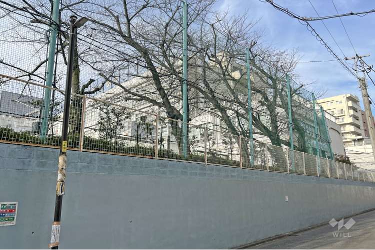 第八中学校の写真