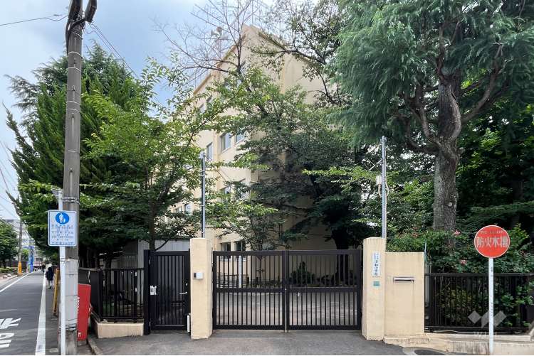 清和小学校の写真
