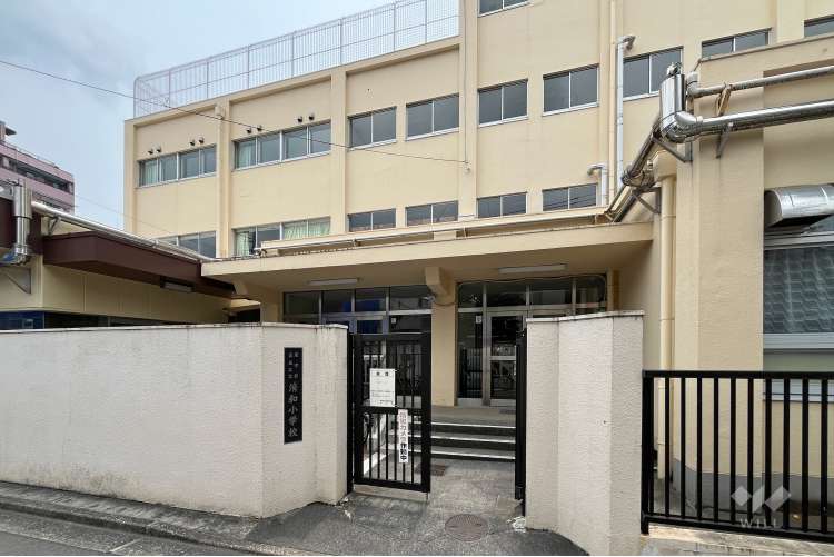 清和小学校の写真