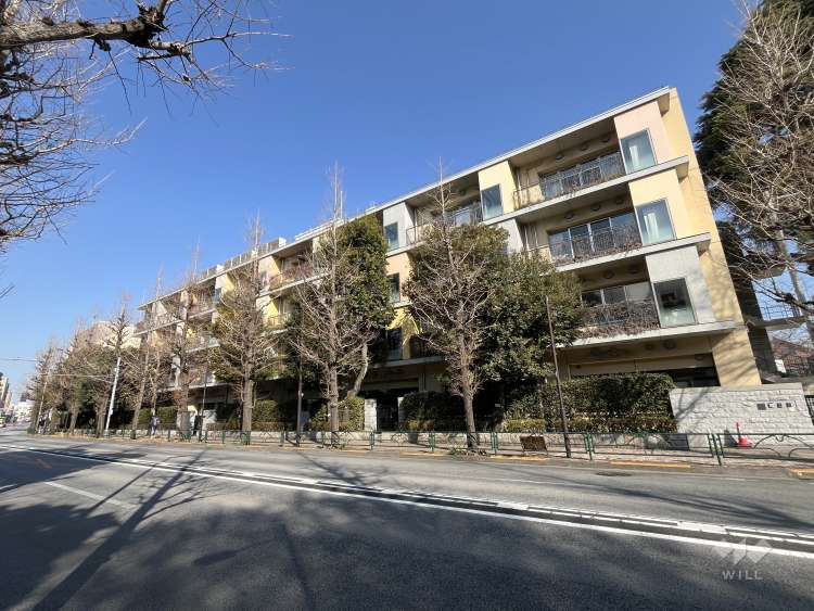 目白小学校の写真