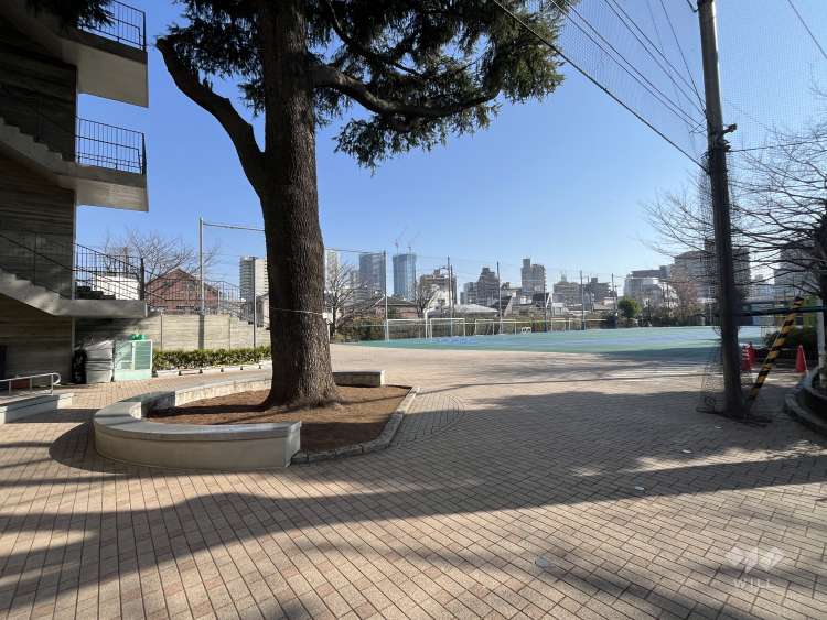 目白小学校の写真