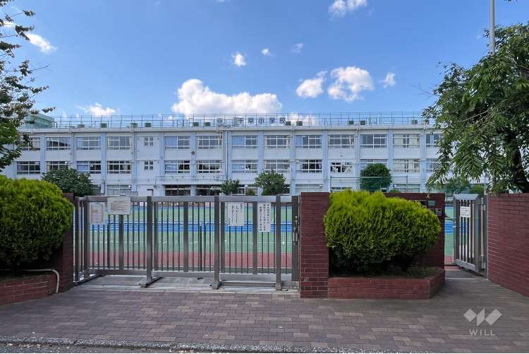 千早小学校の写真