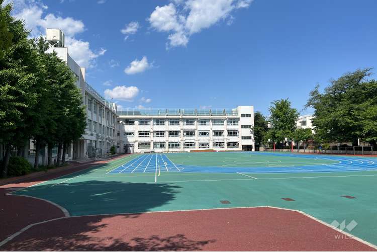 さくら小学校の写真