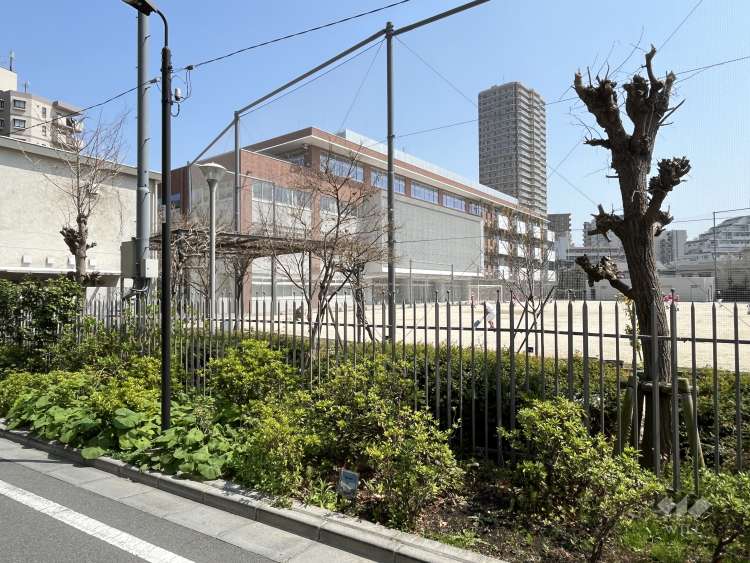 巣鴨北中学校の写真