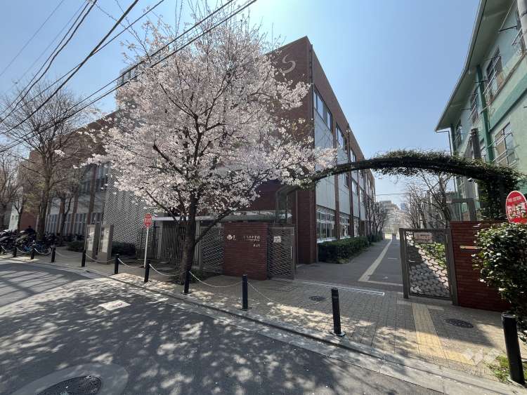 巣鴨北中学校の写真