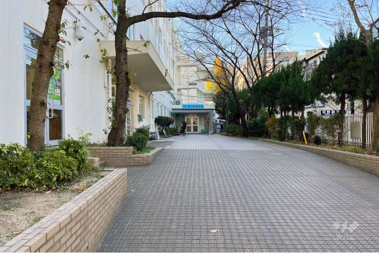 根津幼稚園の写真