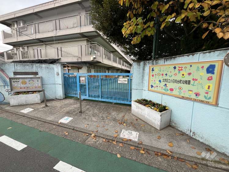小日向台町幼稚園の写真