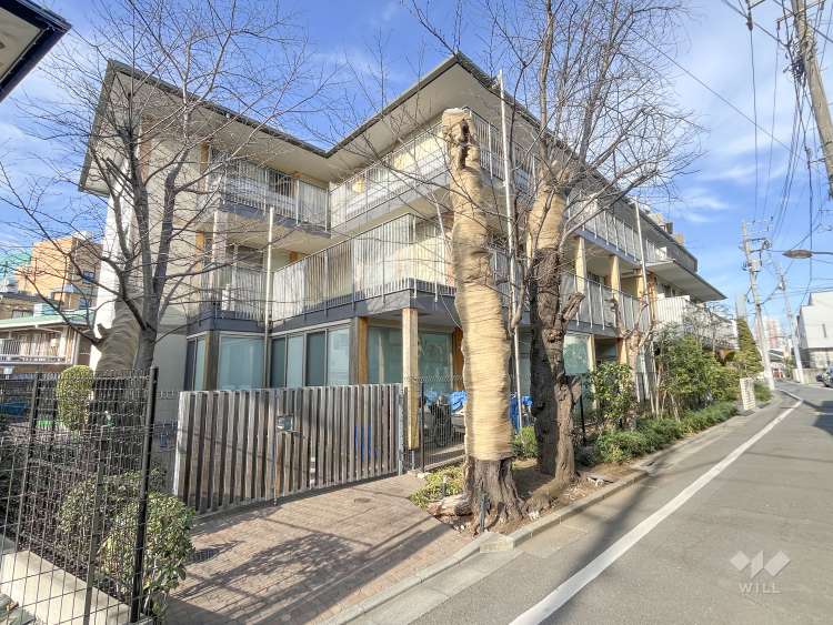 グローバルキッズ椎名町園の写真