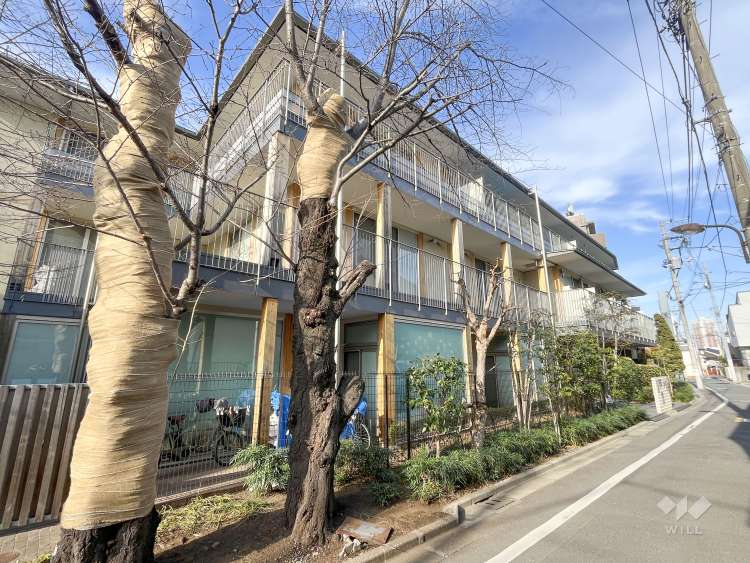 グローバルキッズ椎名町園の写真