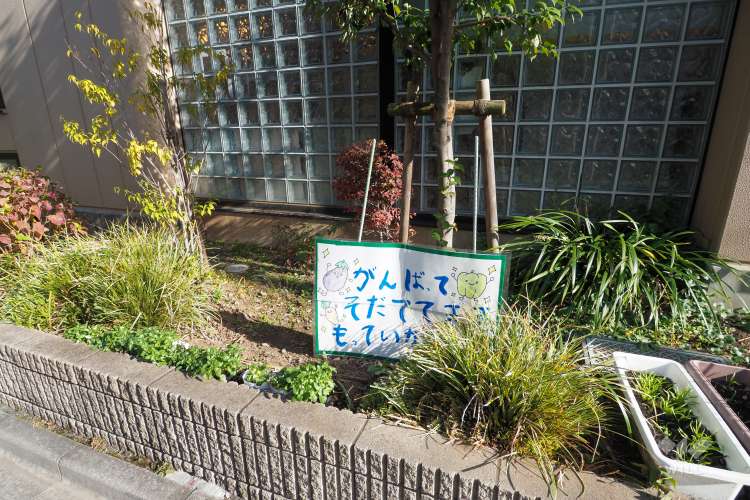 おはよう保育園 椎名町の写真