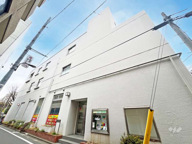 太陽の子　要町保育園の写真