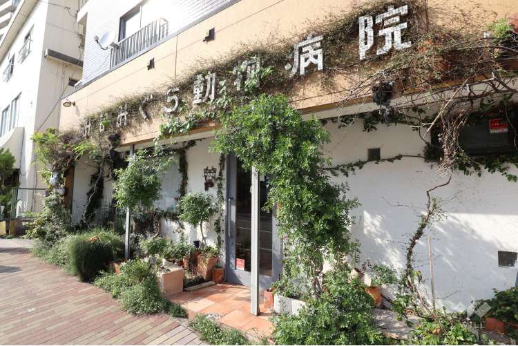 みなみぐち動物病院の写真