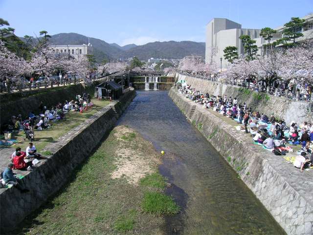 芦屋川の写真