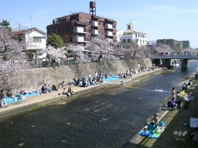 芦屋川の写真