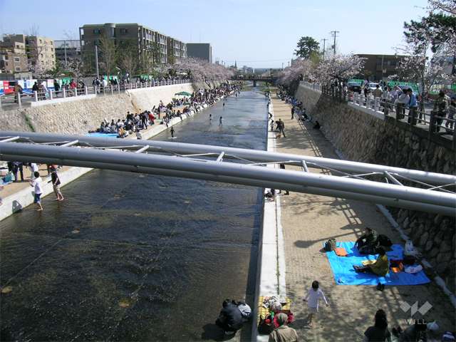 芦屋川の写真