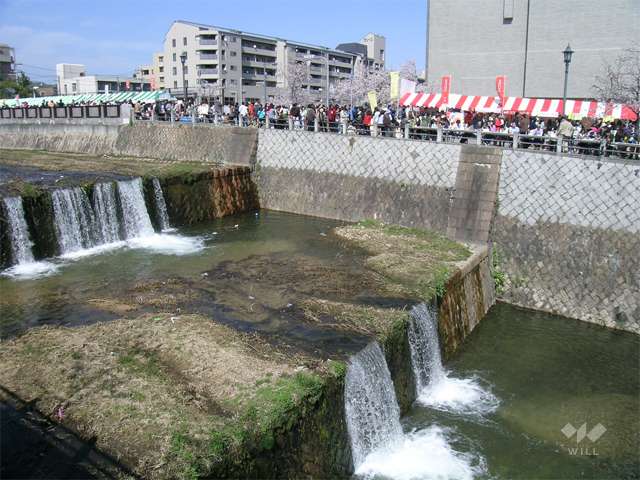 芦屋川の写真
