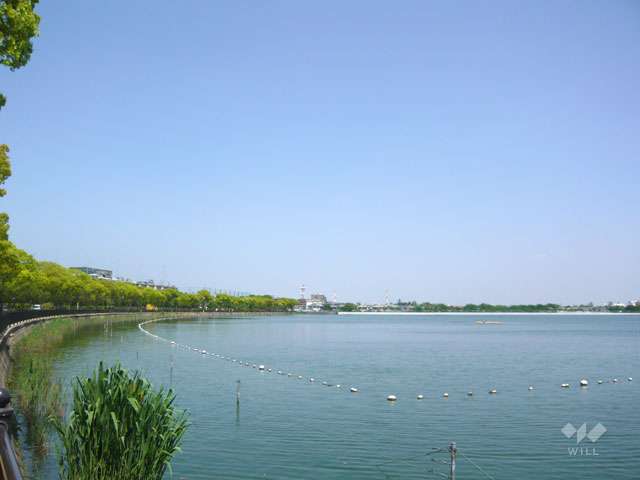 瑞ケ池公園の写真