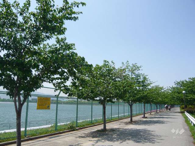 瑞ケ池公園の写真
