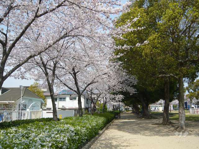 水明公園の写真