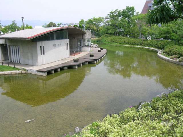 鳴尾浜臨海公園(南地区)の写真