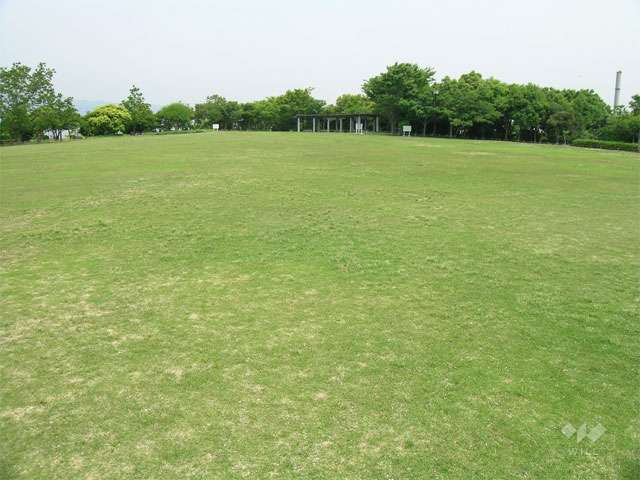 鳴尾浜臨海公園(南地区)の写真