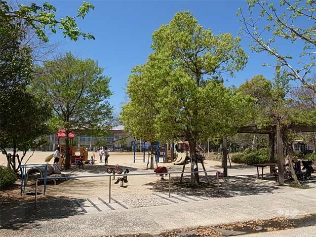 高木公園の写真