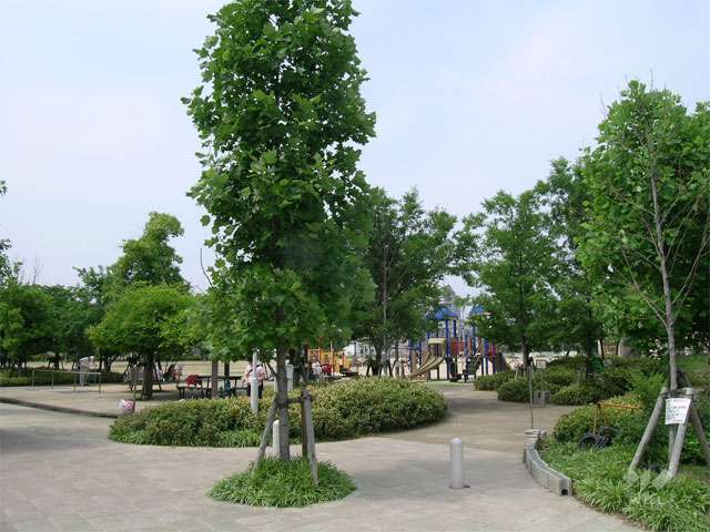 高木公園の写真