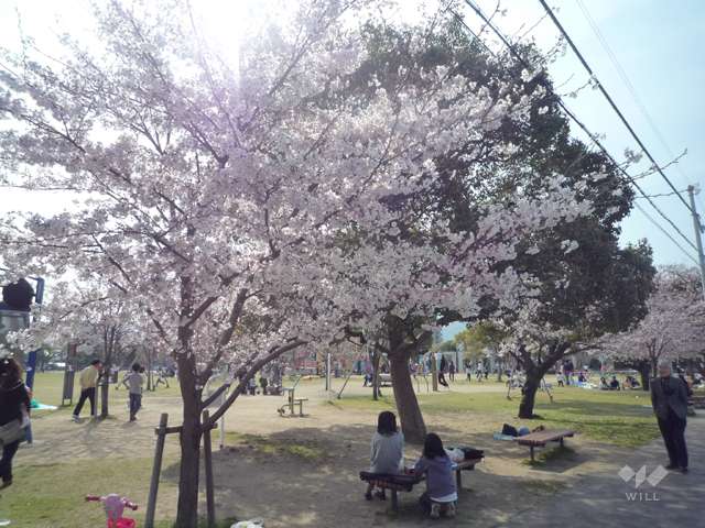 末広中央公園の写真