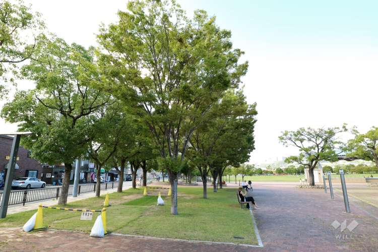 末広中央公園の写真