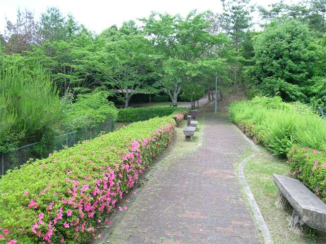 さくら池自然公園の写真