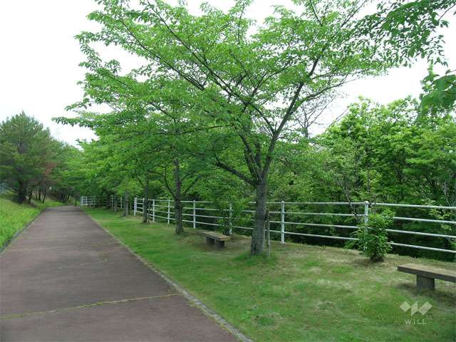 さくら池自然公園の写真