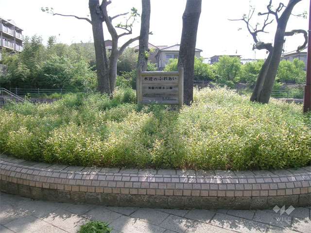 箕面西公園の写真