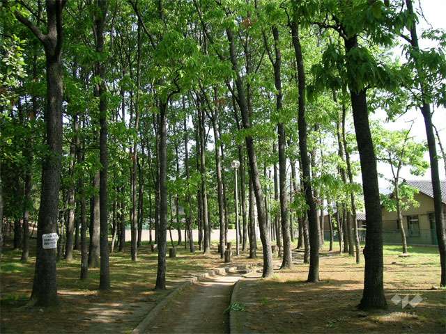 箕面西公園の写真