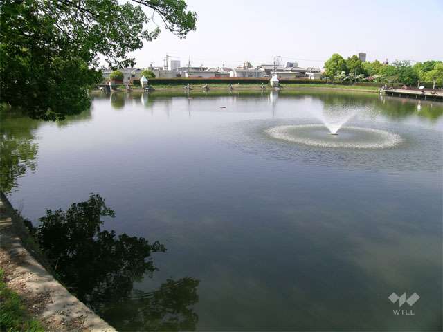 芦原公園の写真