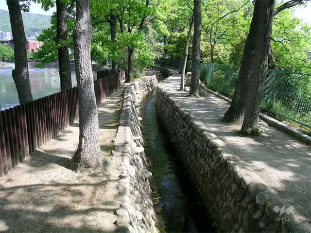 芦原公園の写真