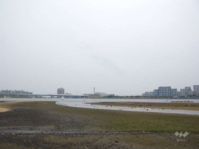 御前浜公園の写真