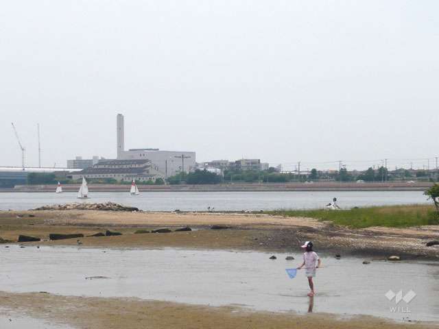 御前浜公園の写真