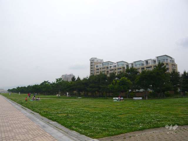 新西宮ヨットハーバーの写真