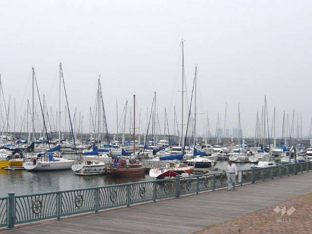新西宮ヨットハーバーの写真