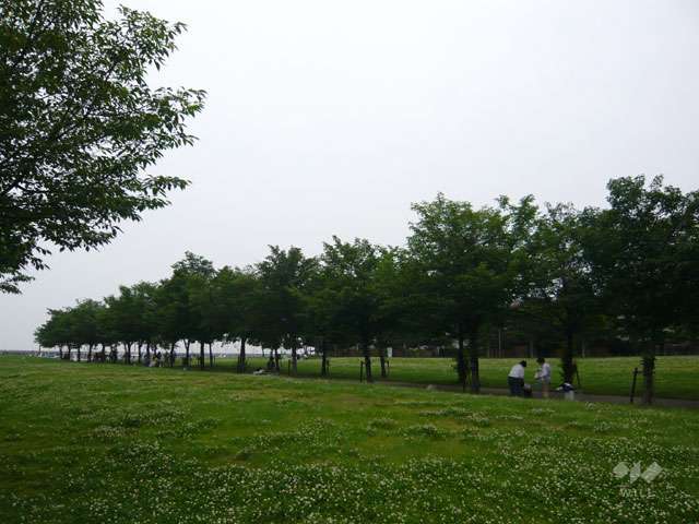 新西宮ヨットハーバーの写真