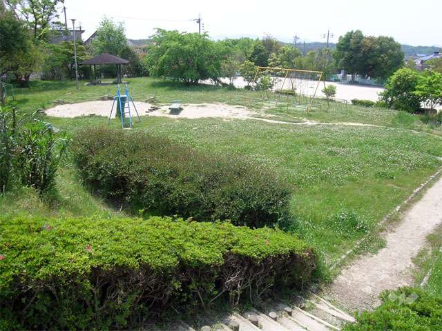 しらかば公園の写真