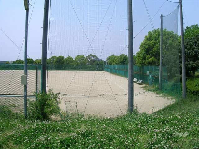 しらかば公園の写真